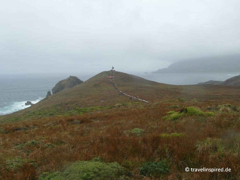 Albatros-Denkmal, Kap Hoorn Sehenswürdigkeiten, Reisebericht Chile Kreuzfahrt