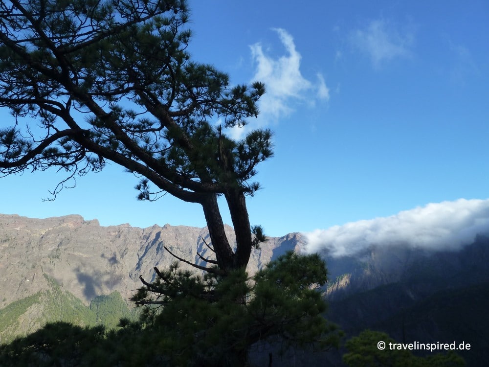 Aussicht vom Mirador Lomo de las Chozas, La Palma leichte Wanderung auf eigene Faust, La Cumbrecita Rundwanderung