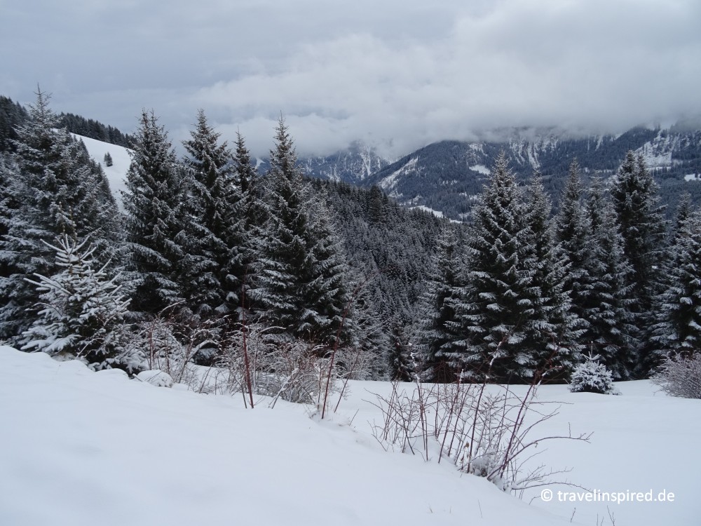 Schneeschuhwandern querfeldein, Tirol