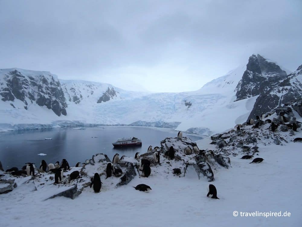 Faszination Antarktis - spektakulärer Blick auf Orne Harbour, Hurtigruten Expedition Erfahrungsbericht