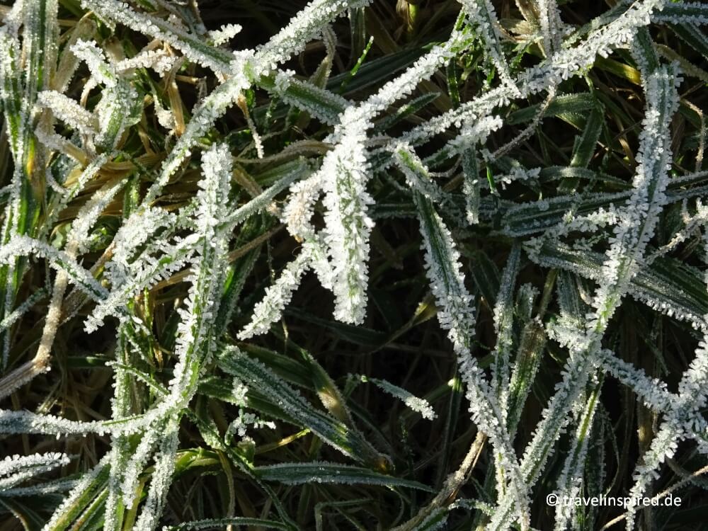 Die Pflanzen sind mit Eiskristallen besetzt, Winterwandern Boberger Dünen, Hamburg