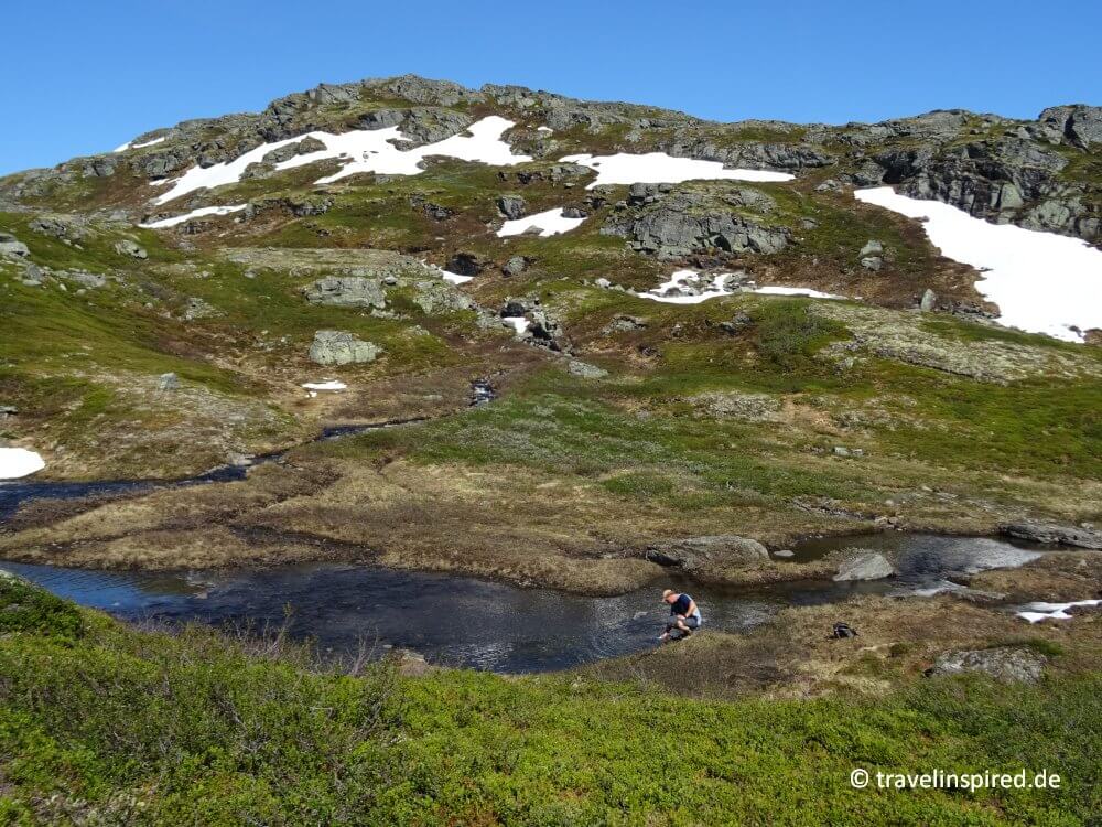Wasserzapfen im Bergbach, Königinnenweg Hardangervidda Tageswanderung