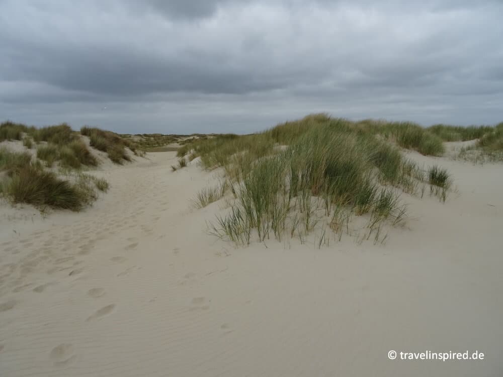 Wandern durch die Dünen, De Hors, Südspitze Nordseeinsel Texel