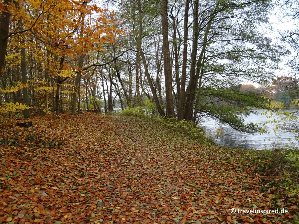 Durchs Laub rascheln beim Herbstspaziergang am Lütjensee, Wandern Metropolregion Hamburg