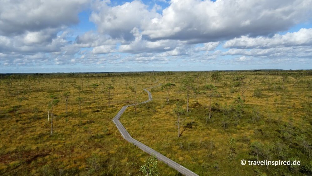 Ausblick vom Aussichtsturm aufs Moor, Soomaa Nationalpark wandern Ingatsi Trail, Erfahrungsbericht