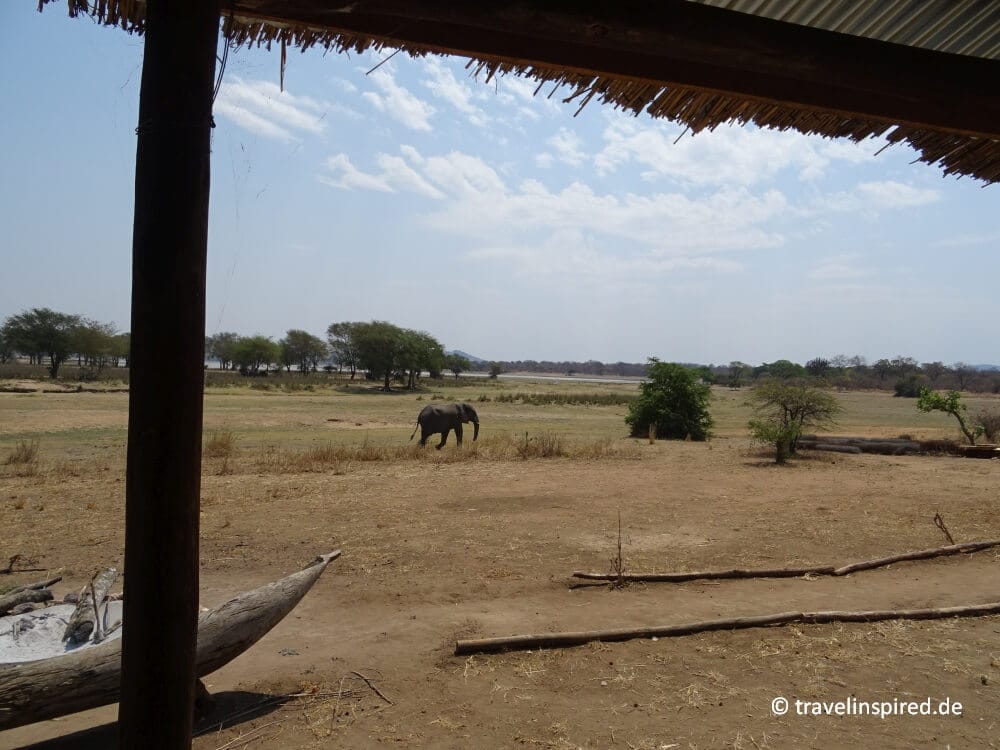 Afrika Feeling im Camp in Malawi, Biosphere Expeditions Vwaza