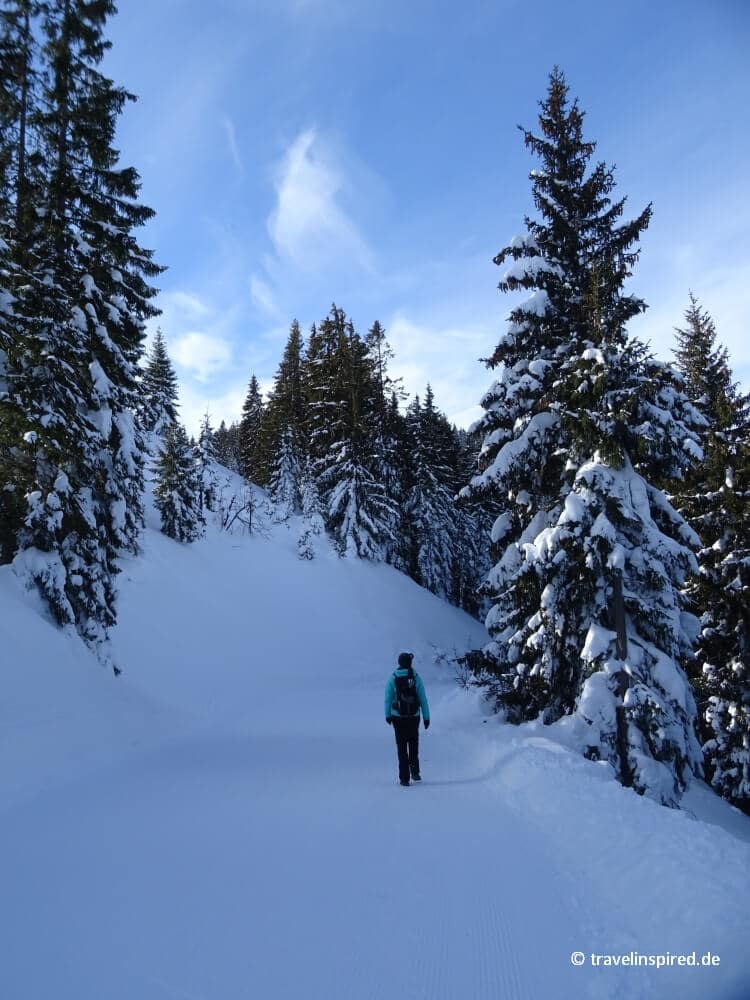 Winterwanderung vom Markbachjoch zur Norderbergalm, Wildschönau winterwandern, Markbachjochbahn, Österreich