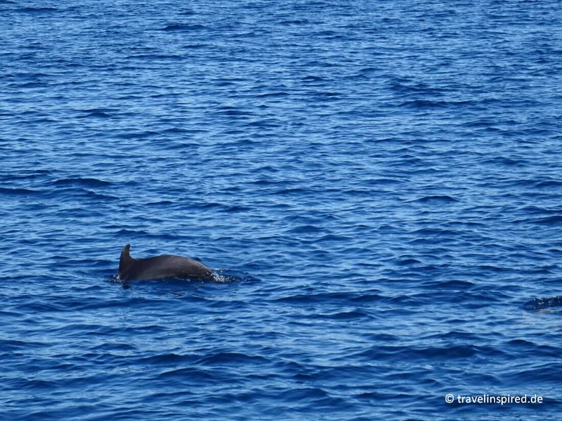 Kroatien Kreuzfahrt Magische Inseln In Der Kvarner Bucht Travelinspired