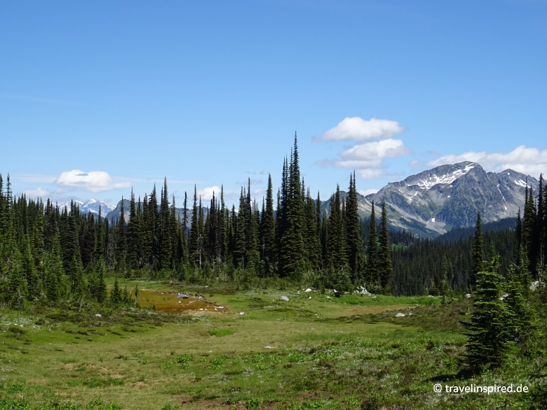 Schöne Landschaft beim Wandern im Mount Revelstoke Nationalpark, Reiseziele British Columbia Kanada