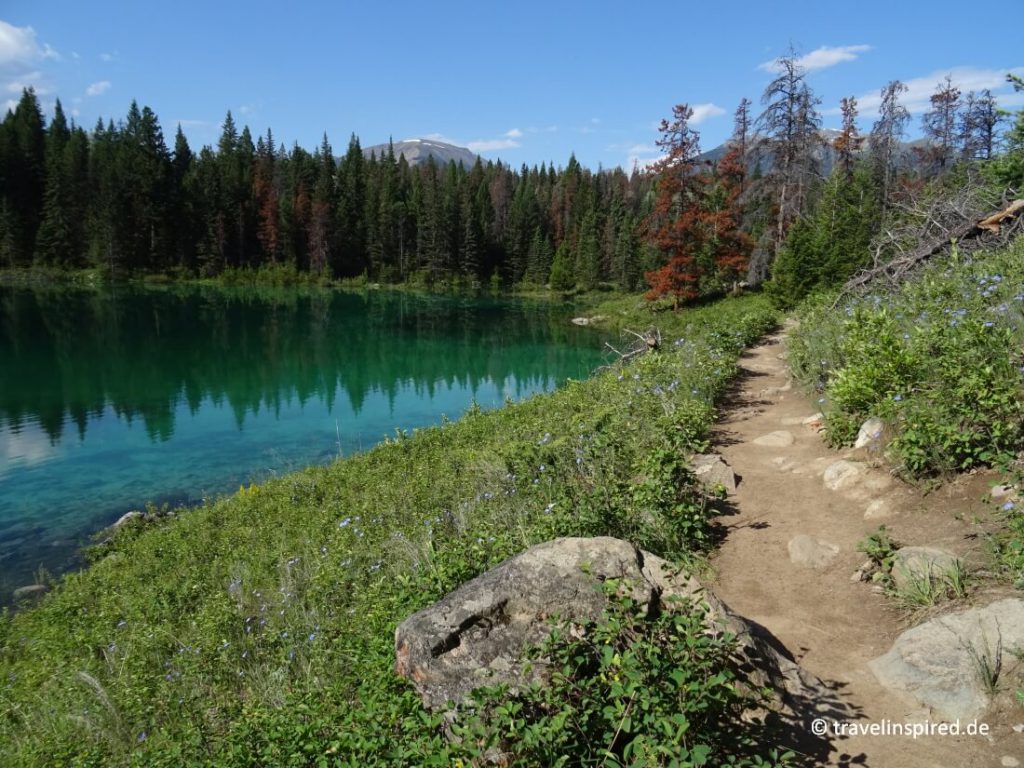 REISEBERICHT WESTKANADA MIT VIELEN REISETIPPS BILDERN INFORMATIONEN visual data 8