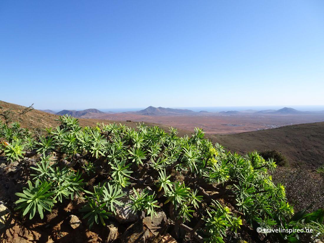 Aussicht vom Wanderweg zum Mirador Morro Velosa, leichte Wanderungen Fuerteventura