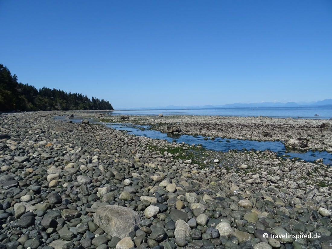 Am Steinstrand im Seal Bay Nature Park, Insidertipps Vancouver Island abseits der Touristenpfade