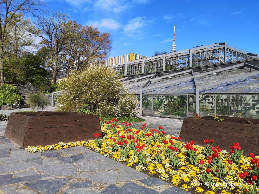 45+ Schaugewächshäuser Des Botanischen Gartens Der Universität