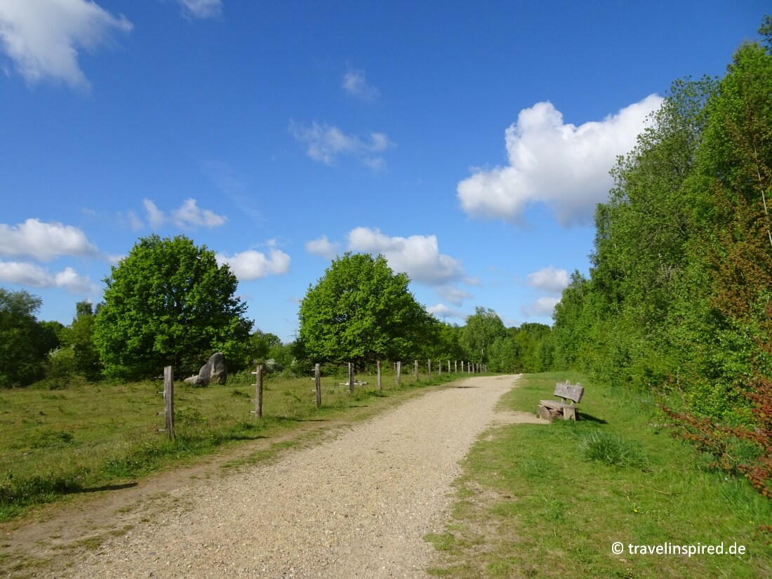 Höltigbaum Wandern und Tiere beobachten Travelinspired