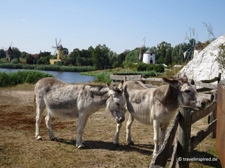 Gifhorn Sehenswürdigkeiten Und Ausflugsziele | Travelinspired