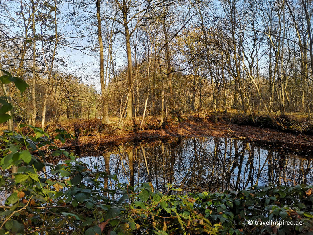 Krempermoor im Herbst, Wandern bei Itzehoe Erfahrungsbericht