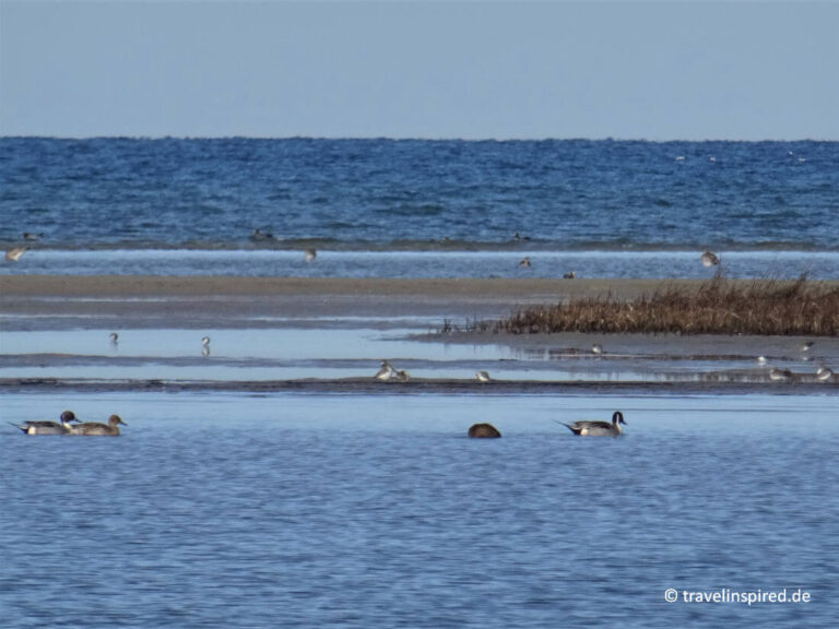 insel-poel-sehensw-rdigkeiten-und-str-nde-travelinspired