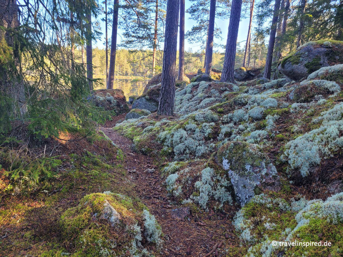 Wandern Wald Tiveden, Blogpost