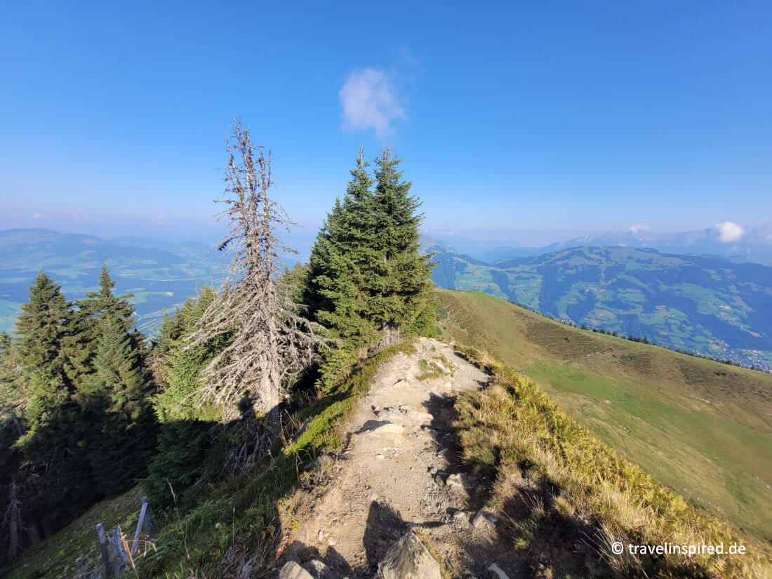 Wanderweg zum Gipfel des Guggenkögele, Erfahrungsbericht Alpinolino Westendorf