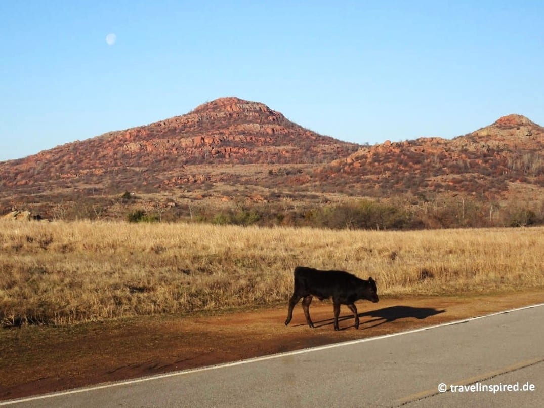 Wichita Mountains Wildlife Refuge Reisebericht