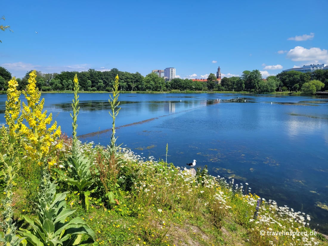 Malmö Pildammspark