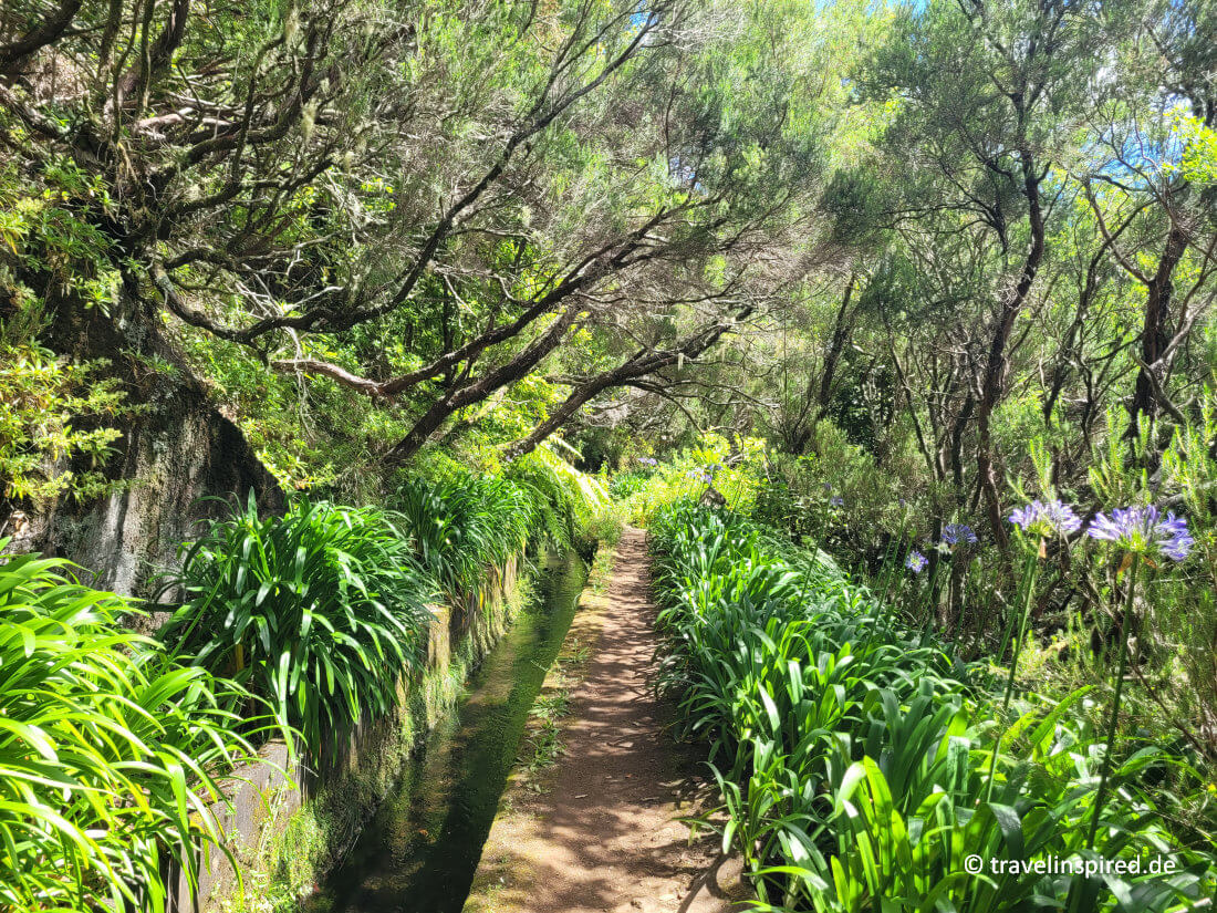 Levada Wanderwege, Tipps für die schönsten Wanderungen auf Madeira