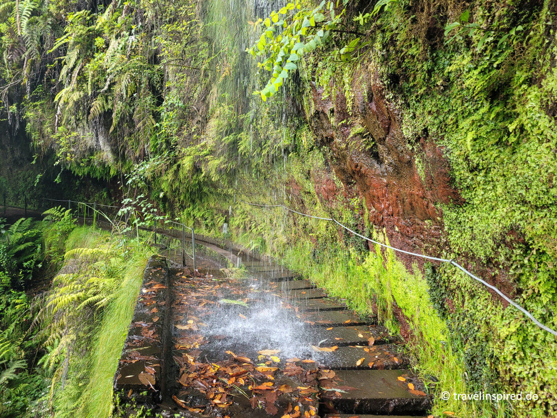 Kleiner Wasserfall am Levada do Rei Wanderweg auf Madeira