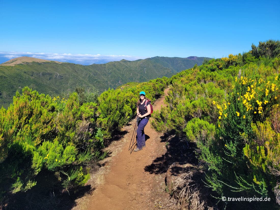 Wandern auf der Hochebene Paul da Serra, Madeira Reisebericht