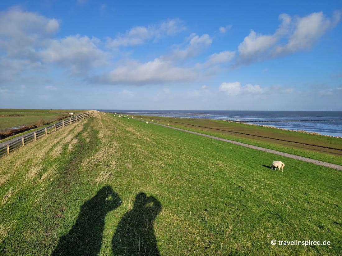 Spaziergang auf dem Deich, Pellworm Tipps