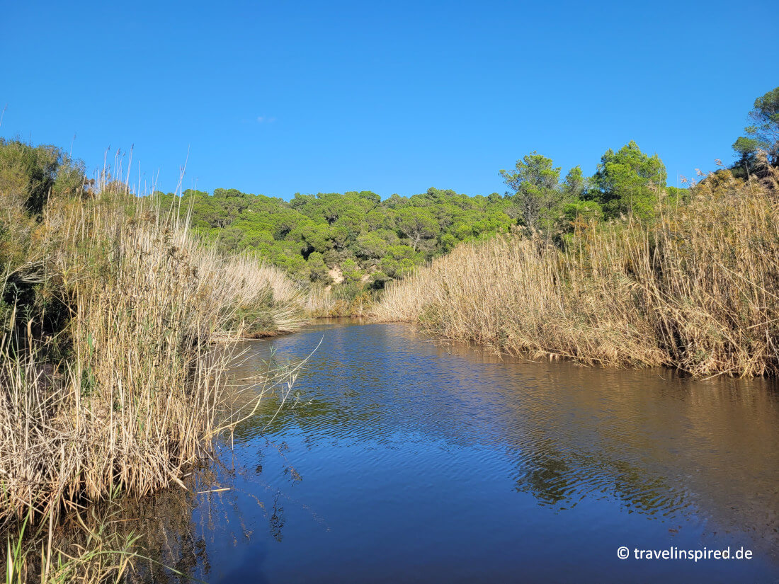 Wandern von der Platja d’Algaiarens zur Platja des Bot