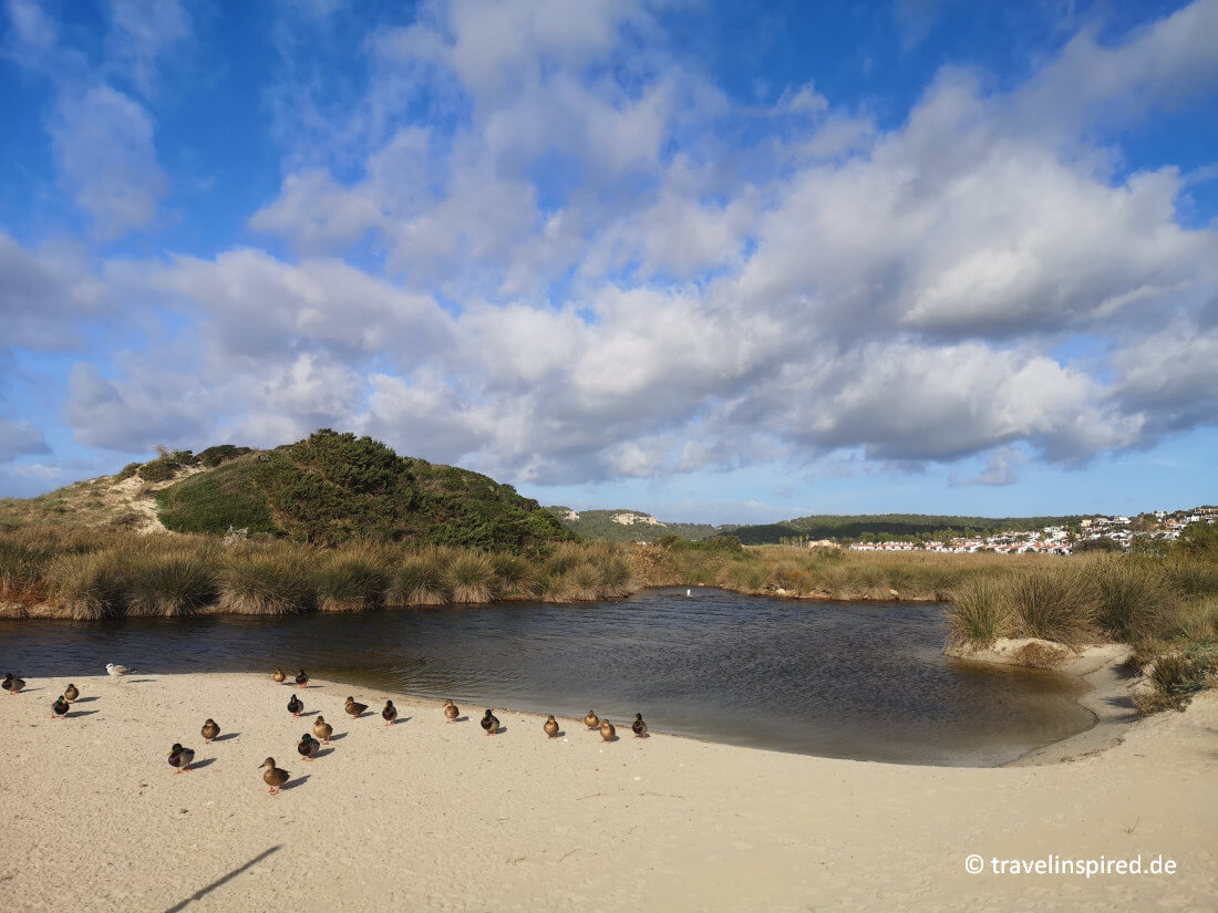 Das Naturschutzgebiet Prat de Son Bou an der Südküste